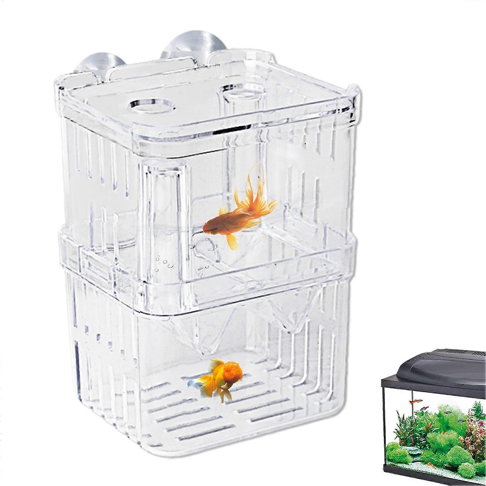 BASSE BOX – Container for fish farming, incubator tray for acclimatizing fish tanks, aquarium acclimatization floating flottaio for fish