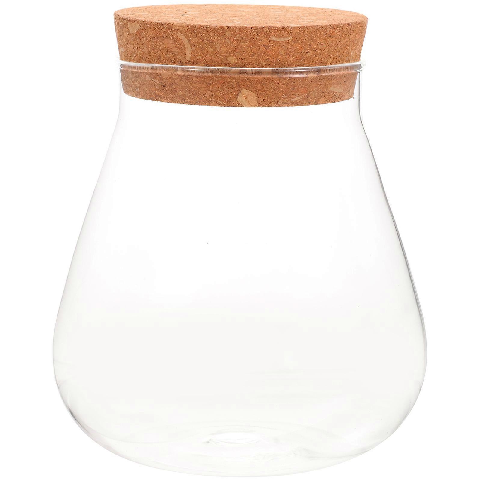 DIY Micro-landscape Empty Glass Jar Storage Holder 11.00X9.00X9.00CM Modern Style Transparent Bottle 1Pack