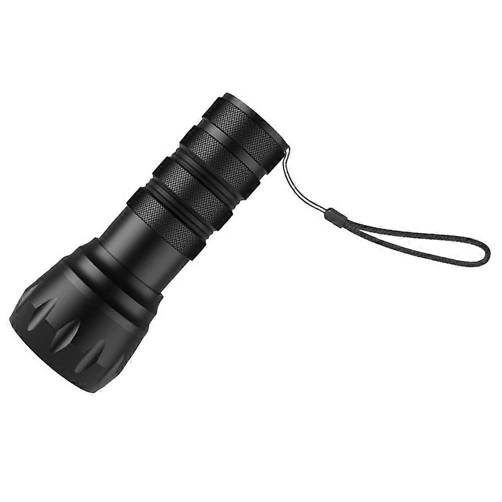 Portable Uv Blacklight Flashlight for Money Checking 2Pcs Handheld Torch