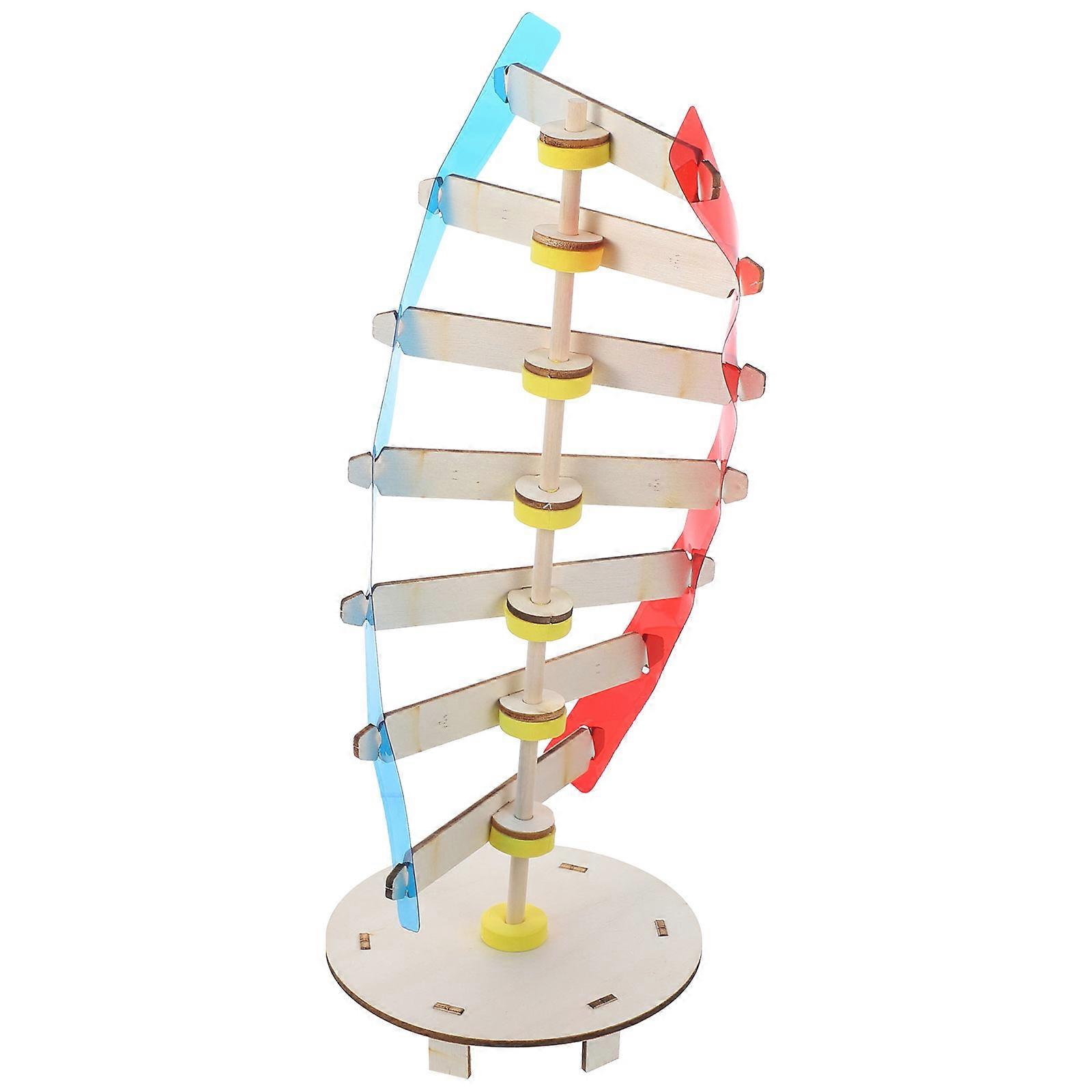 Gene Dna Model Plastic Human Genes Model for Science Teaching