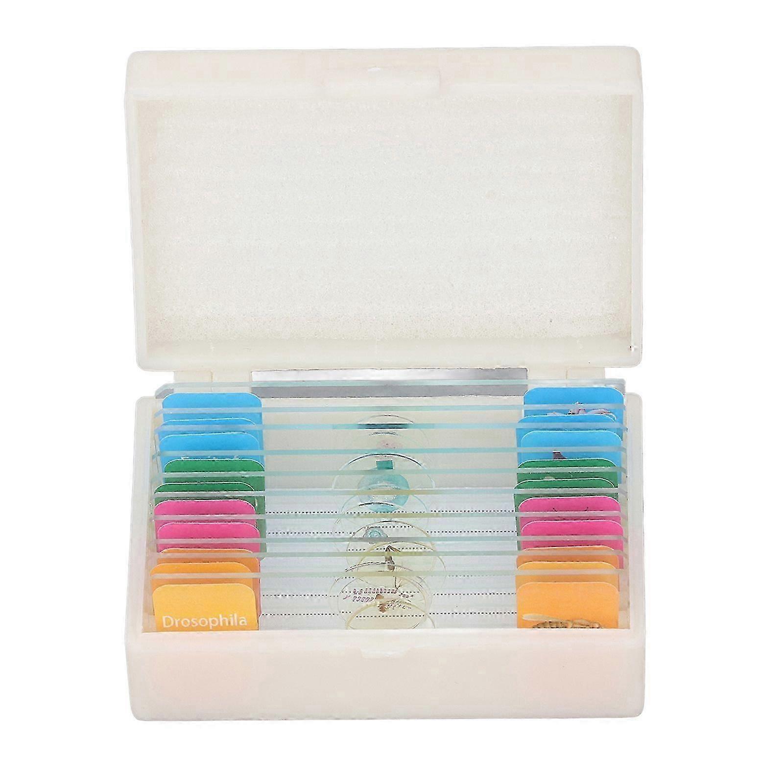 2025 Latest Model  10Pcs Microscope Slides with Specimens Animal Plant Bug