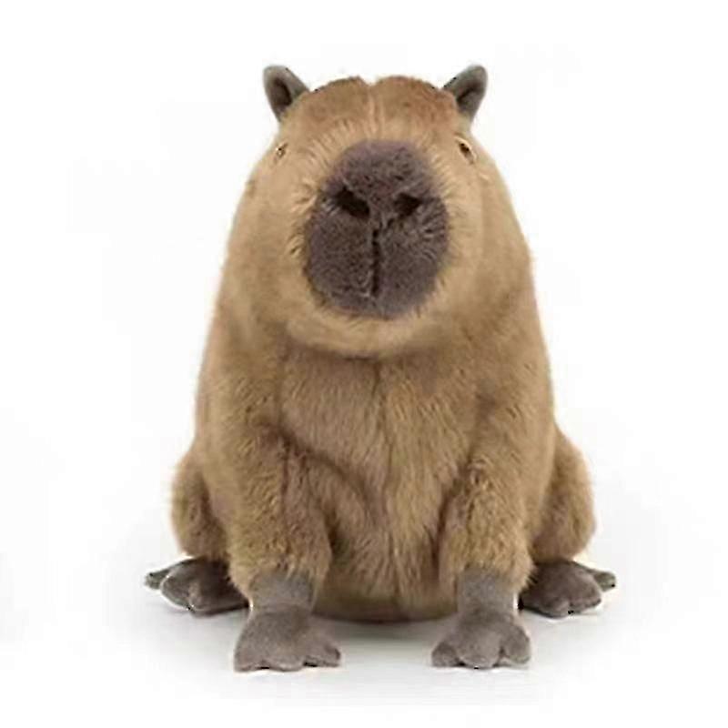 Capybara Plush, لعبة محشوة, هدايا للأطفال, 40 سم - جيد