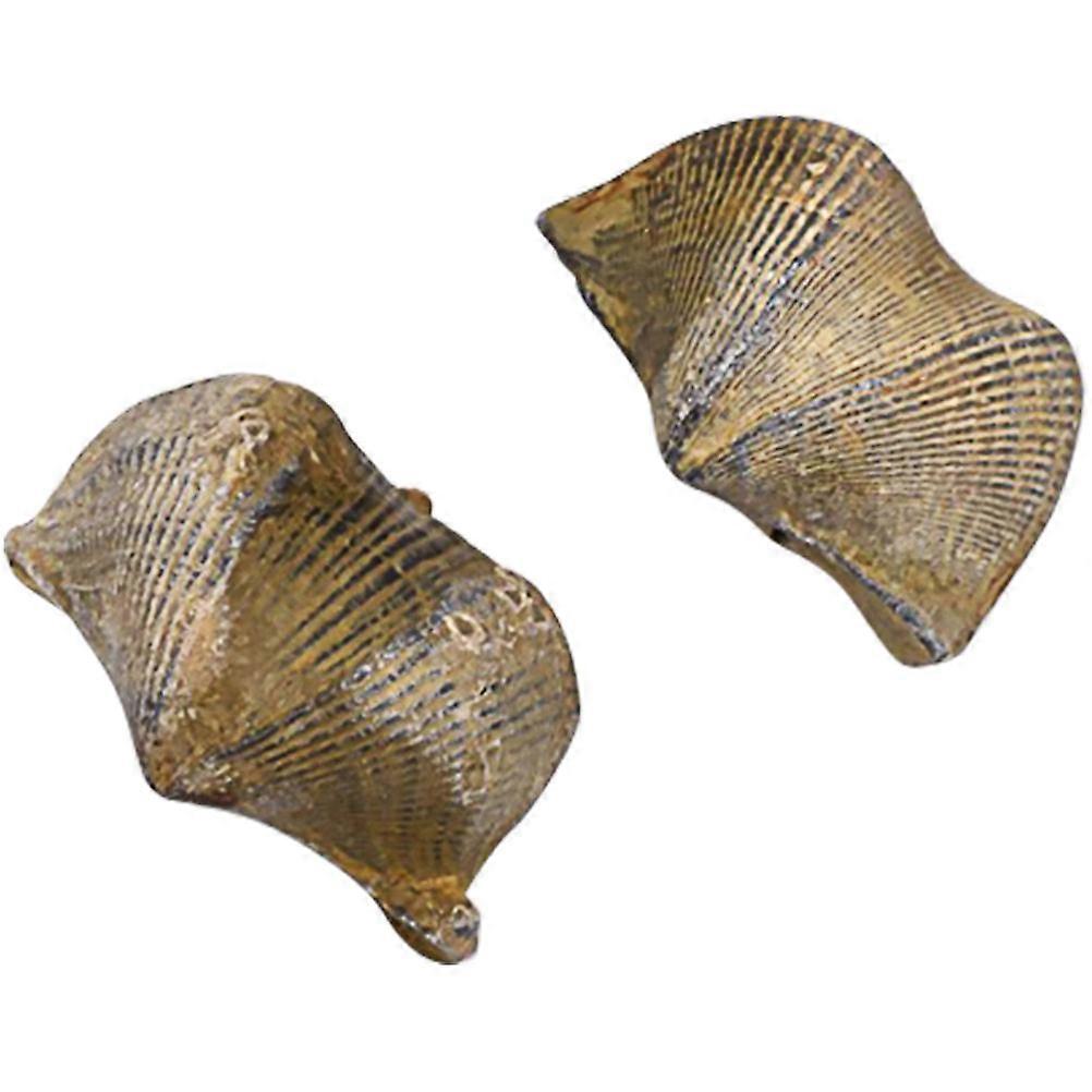 Stone Swallow Brachiopod Model for Decoration 2Pcs Golden