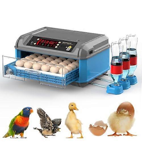 Red 12V Adjustable Tail Light Black for Harley Chopper Bobber Ref: 5466