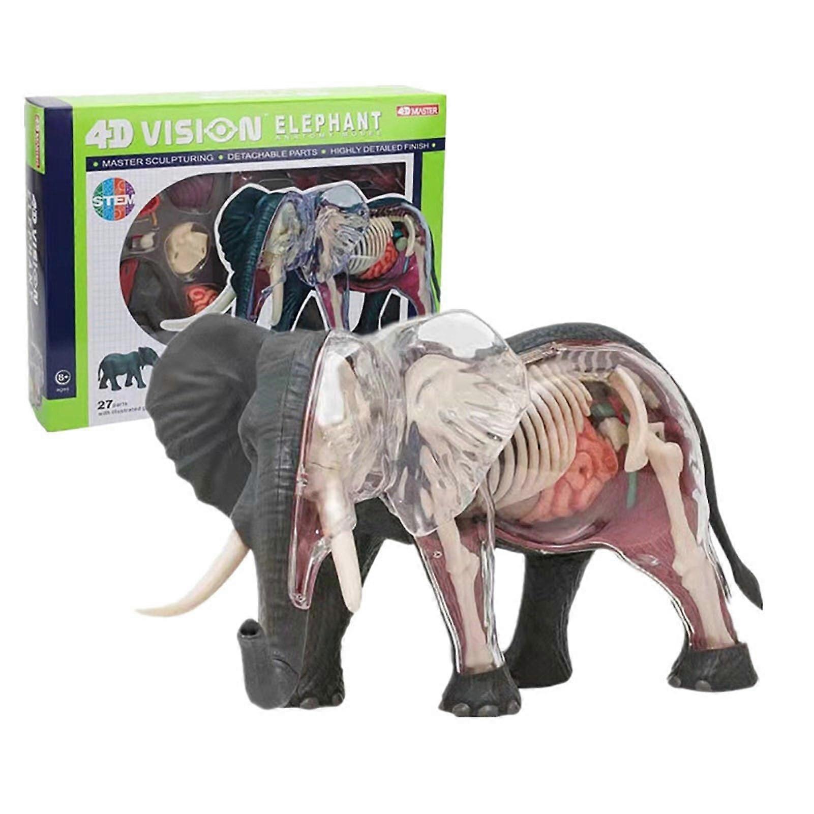 4D Elephant Anatomy Model with 27 Detachable Parts, Visible Internal Structure, Educational Skeleton