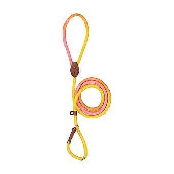 Outdoor Dog Harness No Pull Nylon Leash for Small Medium Dogs QD