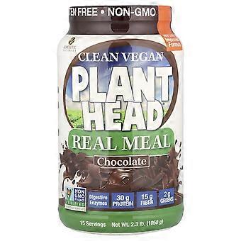 Genceutic Naturals, Clean Vegan Plant Head®, Real Meal, Chocolate, 1.050 g (2,3 lb)