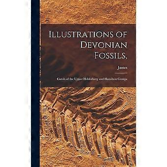 Illustrations of devonian fossils, corals of the upper helderberg and hamilton groups