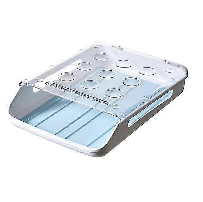 Large Capacity Egg Holder for Refrigerator