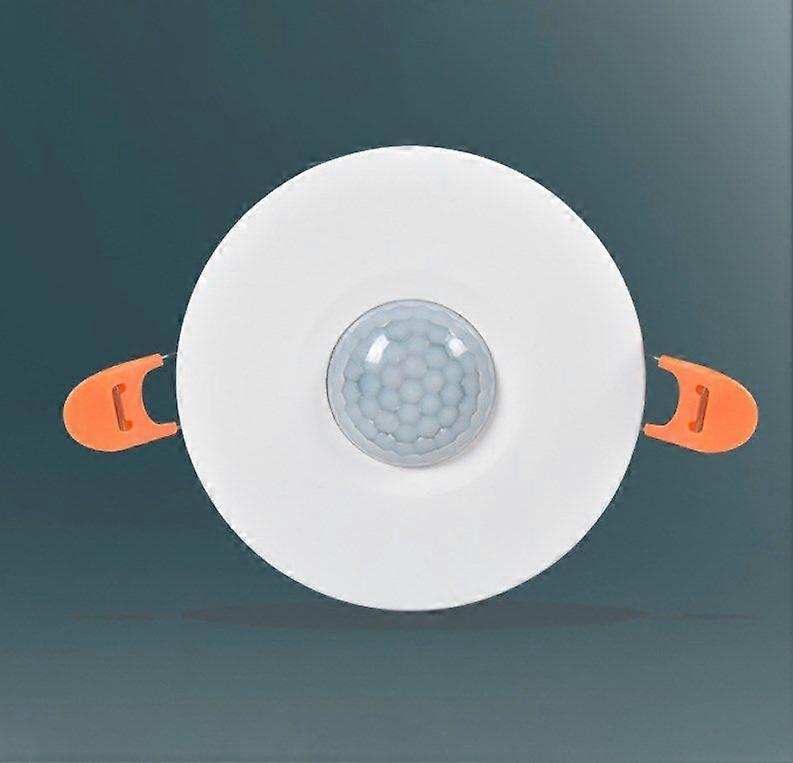White Infrared Motion Detector