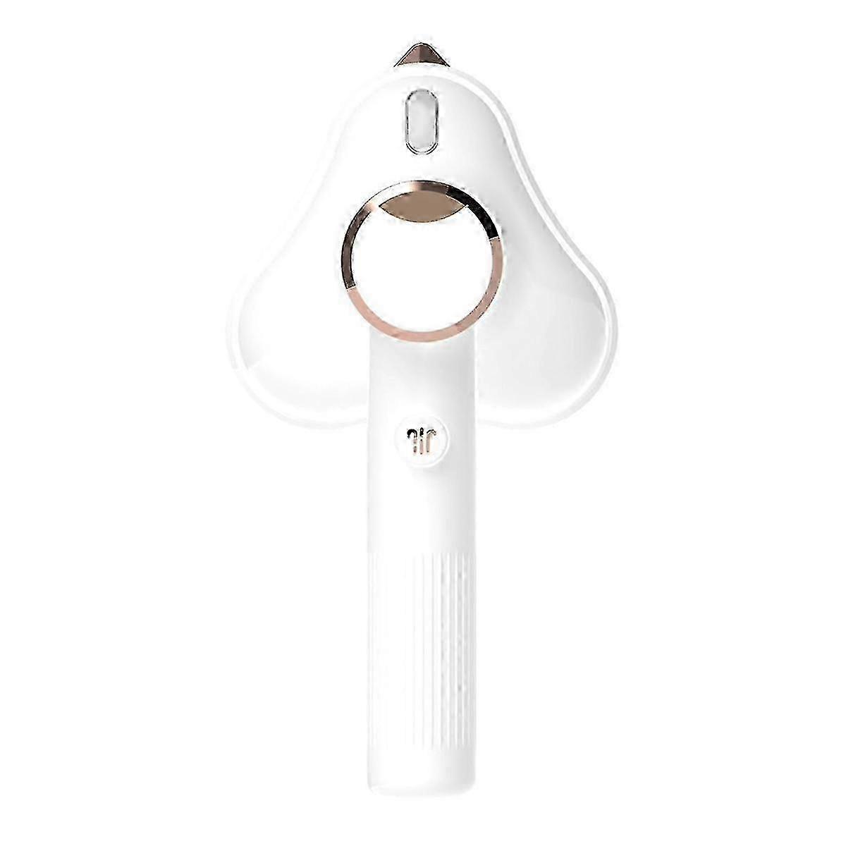 Portable Steam Iron Titanium Plate