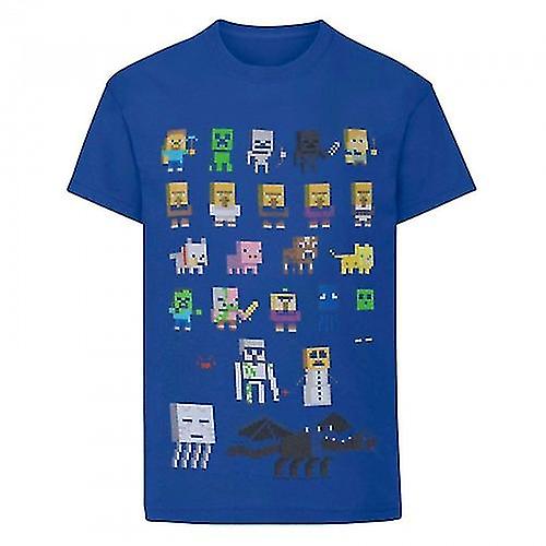 Minecraft Childrens/Boys Official Sprites Character T-Shirt