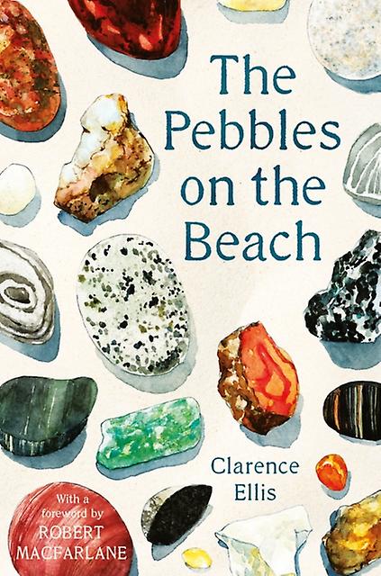 The Pebbles On The Beach by Clarence Ellis Paperback Book