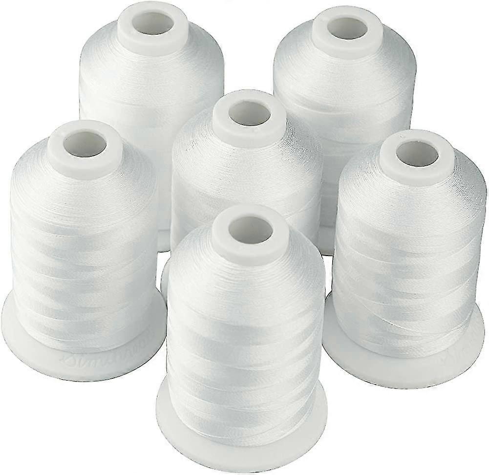 Pack Of 6 Polyester Embroidery Threads 1000m White