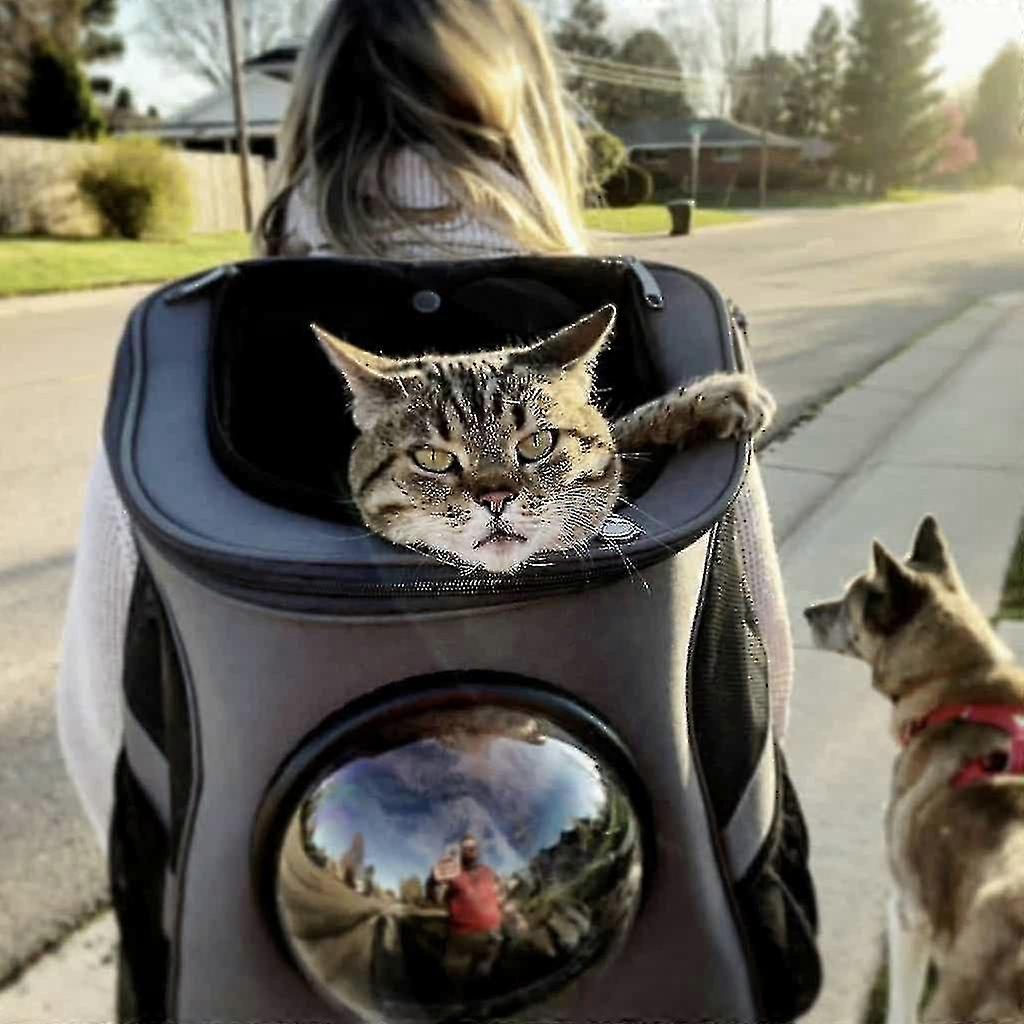 حقيبة ظهر للقطط الكبيرة