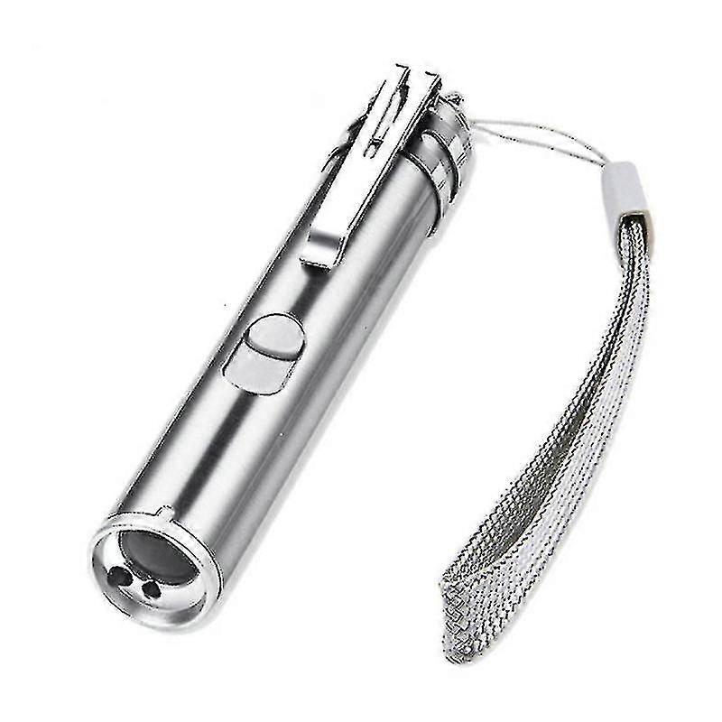 Oplaadbare Huisdier Speelgoed Kat Training Laser Pointer Met Led Zaklamp Usb
