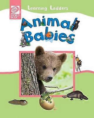 Animal Babies