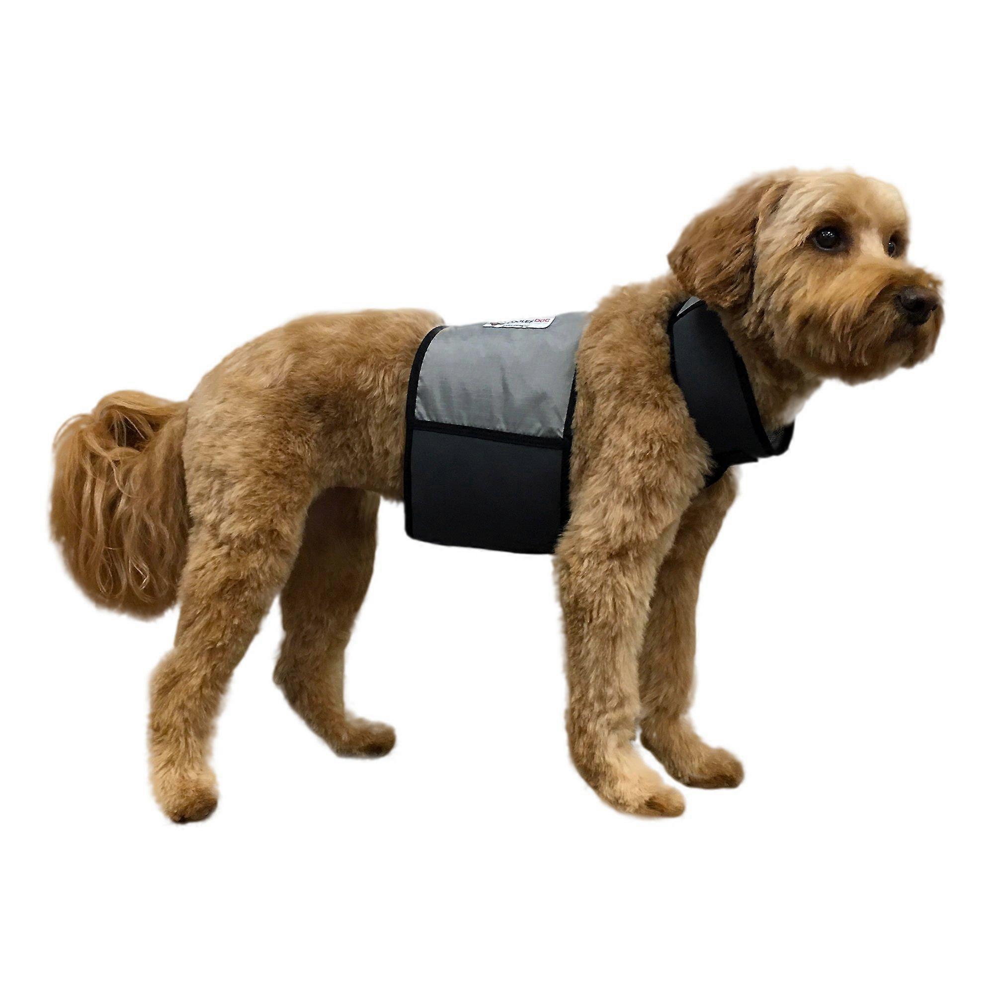 Dog Cooling Vest and Collar Set for Medium Dogs - Adjustable, Lightweight, Breathable Mesh, Reflective Design