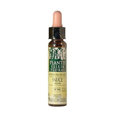 Sauce N ° 38 Eco (Alcohol Free) 10 ml of floral elixir