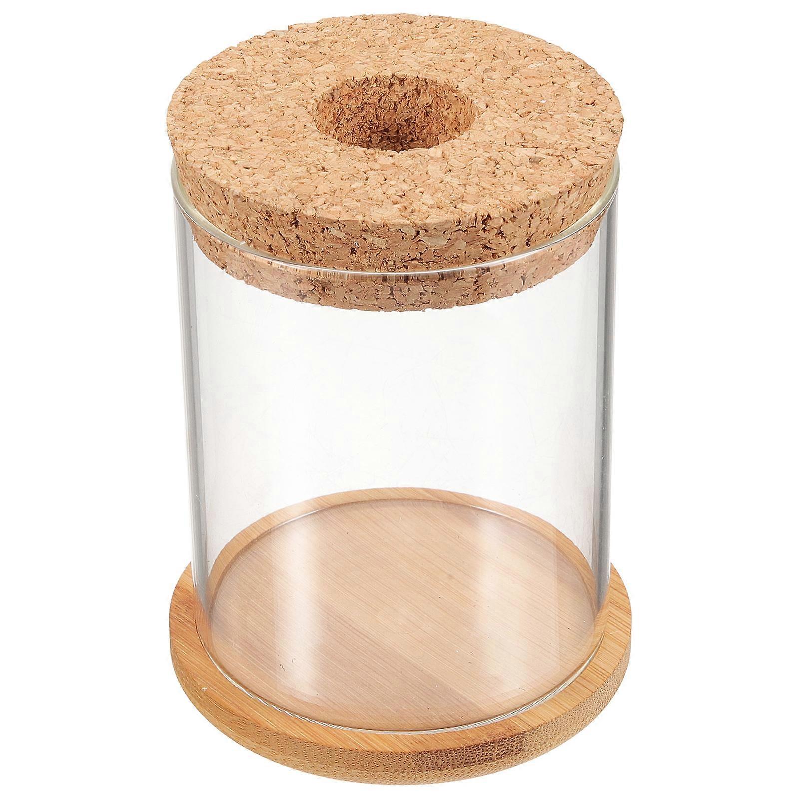 Glass Terrarium Hydroponic Plants Planter for Desktop Simple Artistic Design Transparent 12x8cm Cylinder Shape 1Pcs