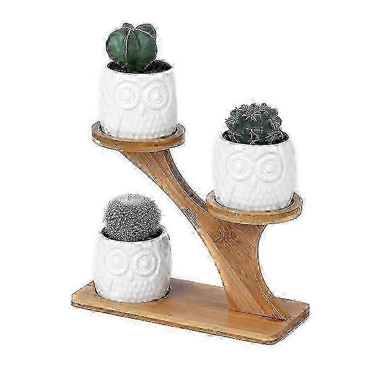 현대 올빼미 세라믹 다육 식물 화분, 실내 식물 고속도로를 위한 3단 디자인