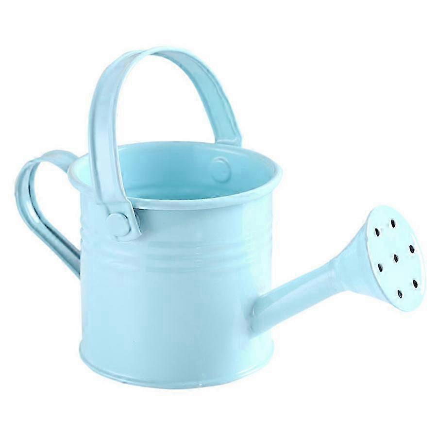 Mini Metal Watering Can with Handle for Indoor and Outdoor Use 25-26s
