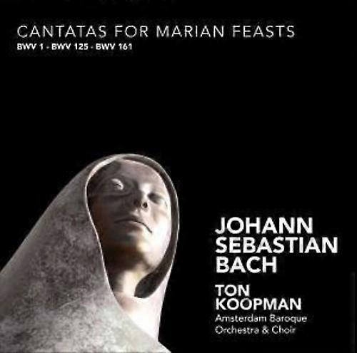 Ton Koopman - Cantatas for Marian Feasts  [COMPACT DISCS] USA import