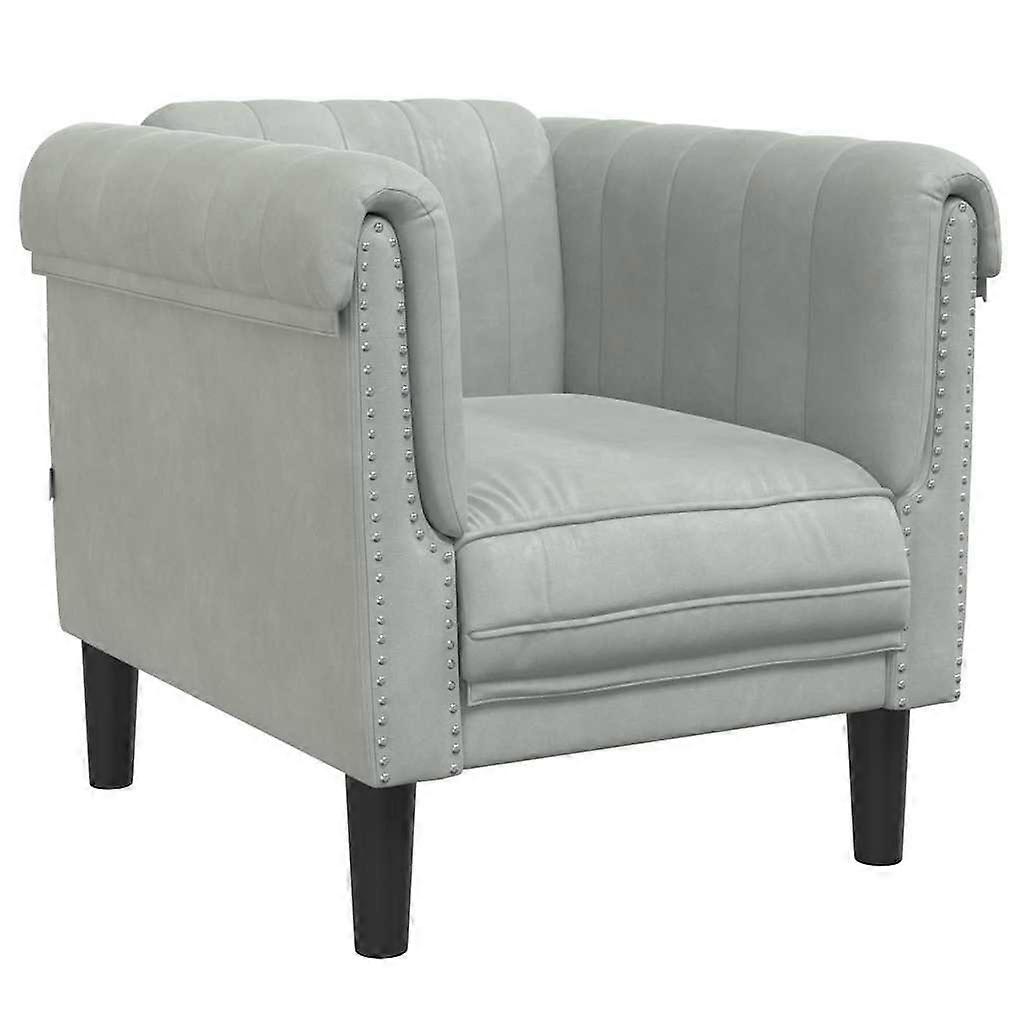 vidaXL Fauteuil fluweel lichtgrijs