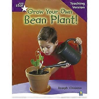 Kasvaa oman Bean: Violetti tason Non-fiction (Rigby Star opastettu)