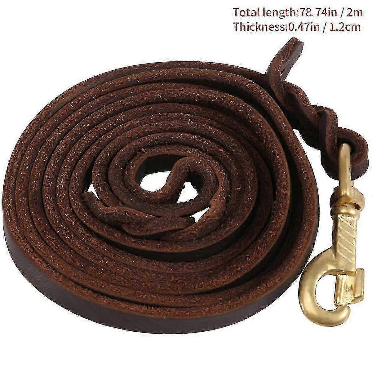 Braided Leather Dog Training Leash 2M