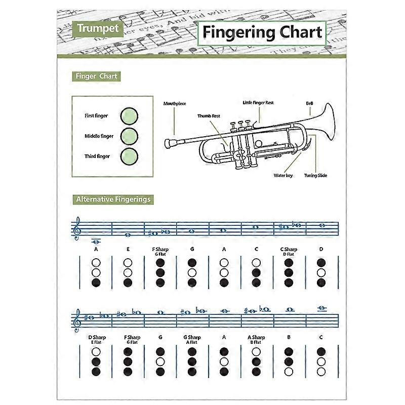 Trompete Übungstabelle Akkord Trompete Grifftabelle Trompete Grifftabelle Musik Akkorde Poster S
