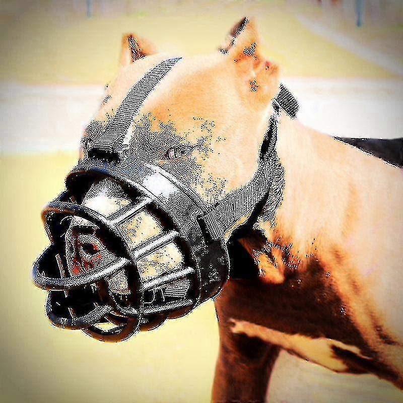 Soft Basket Muzzle For Dogs Secure And Comfortable Fit