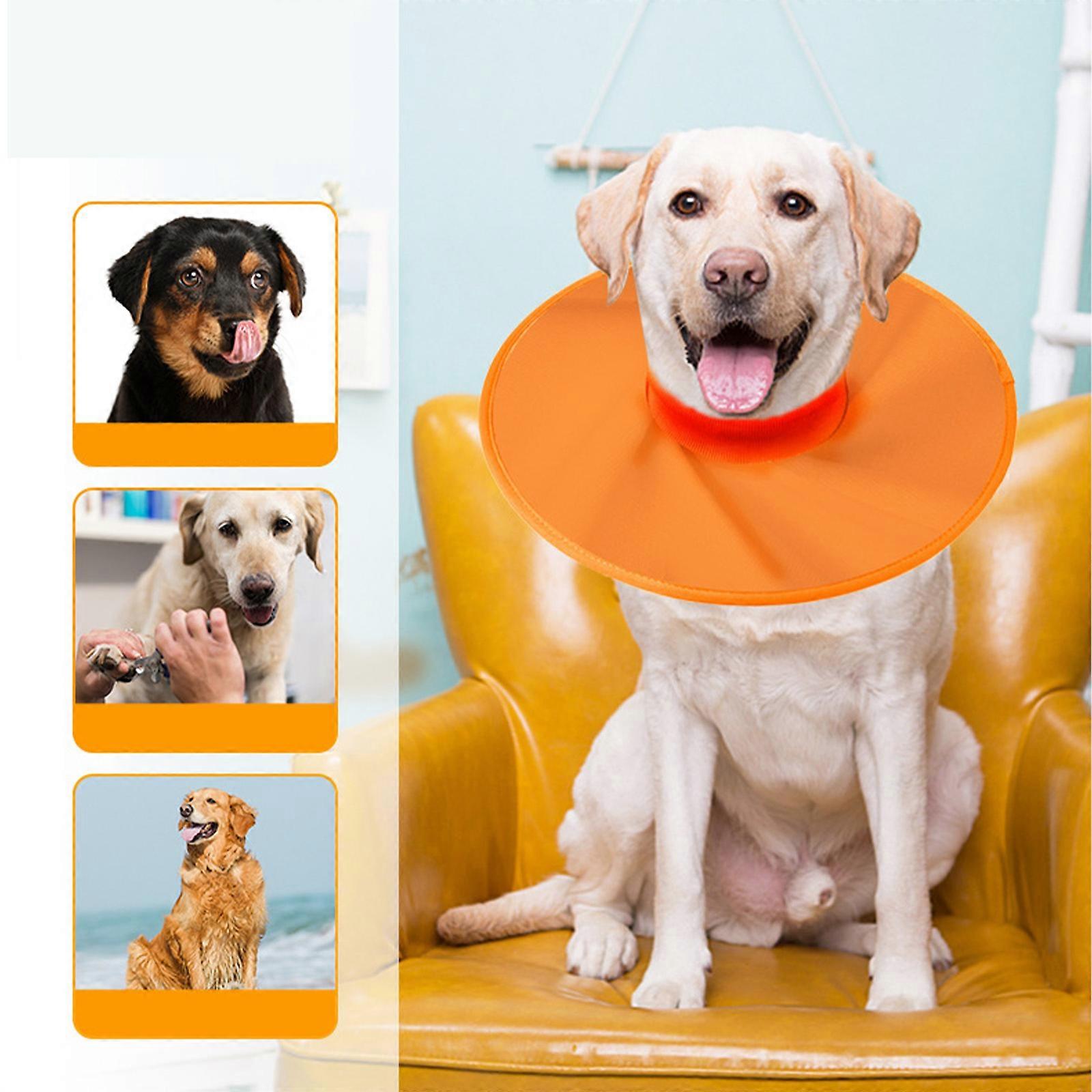 Waterproof Cat Recovery Collar, Stop Licking Wounds, Lightweight Kitten Cones After Surgery, Elizabethan E Collar for Cats, Small Dog, Puppy
