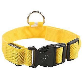 Light Up Dog Collar Lights For Nighttime Clip On Led Dog Collar Bright & High Visibility Lighted