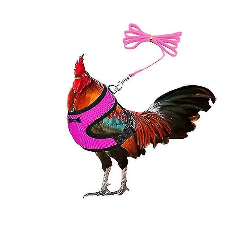 Adjustable Chicken Harness With Leash- Comfortable Hen Vest Breathable Mesh(3pcs,pink)