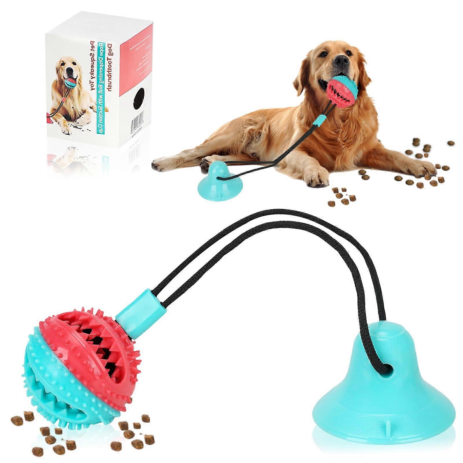 Interactive Dog Toys for Relief Boredom in Small Dogs