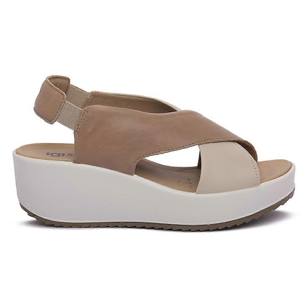 Shoes IGI&CO 7665722