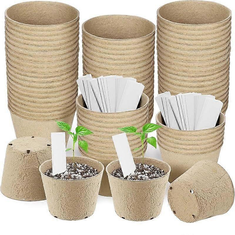 50 Ecological Plant Pots Made of Recycled Cardboard (8 cm) with 50 Labels Biodegradable, FSC Certified Ref: 2577