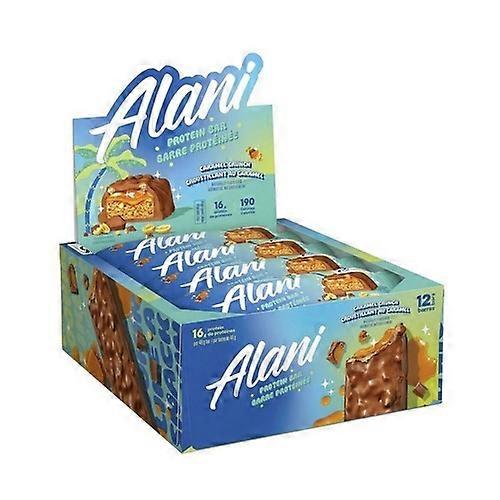 Alani Nu Caramel Crunch Protein Bar, 48 Grams (12 Count)