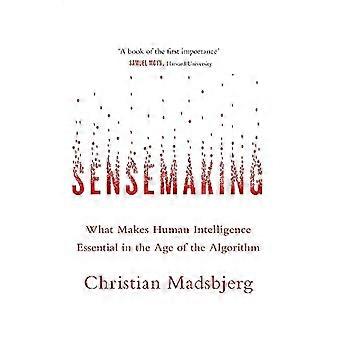 Sensemaking: Was menschliche Intelligenz im Zeitalter des Algorithmus unverzichtbar macht