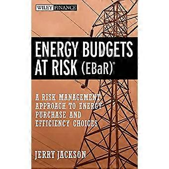 Energy Budgets at Risk (EBaR): A Risk Management Approach to Energy Purchase and Efficiency Choices (Wiley Finance)