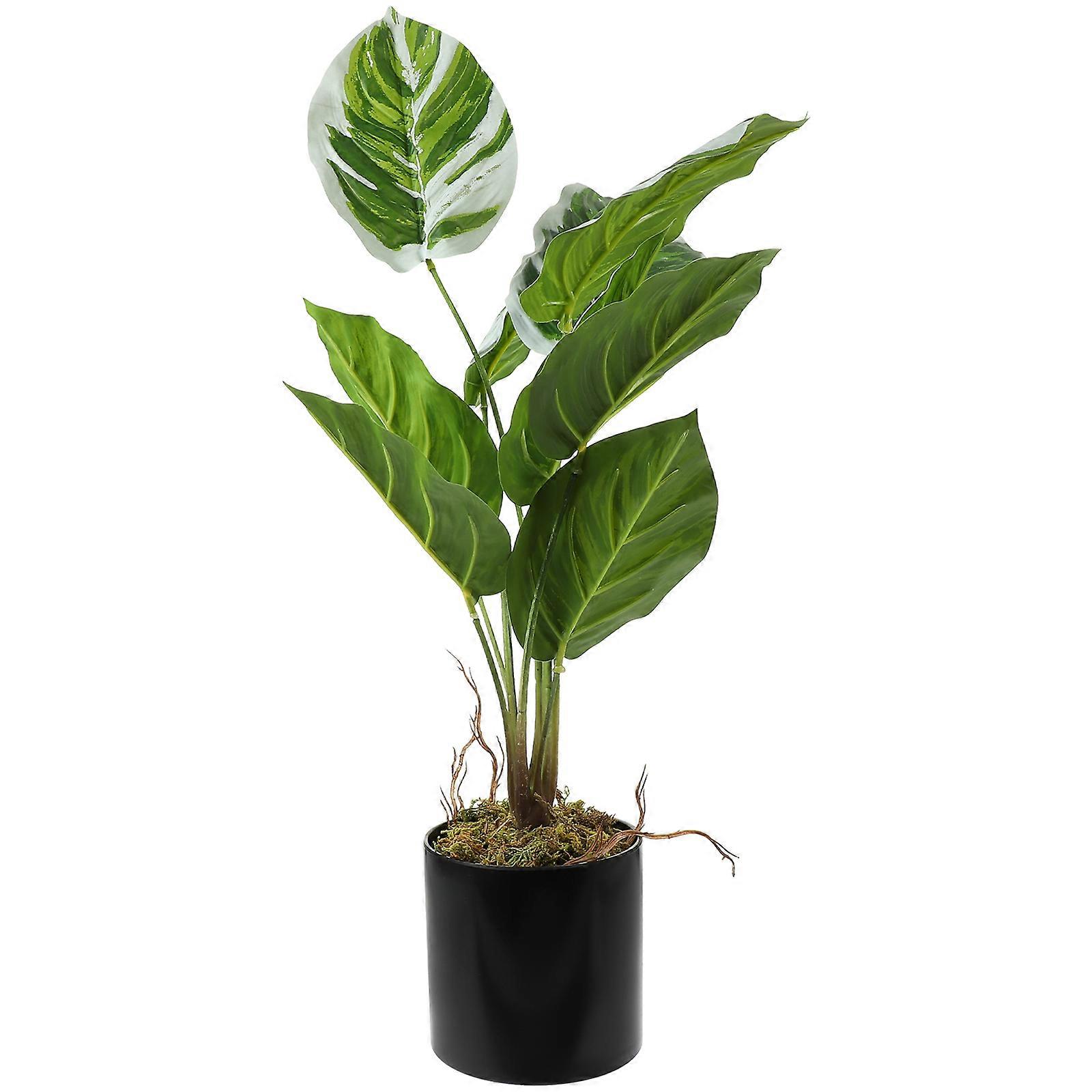Artificial Arrowroot Plant Decor for Decor Plastic Simulation Arrowroot Bonsai