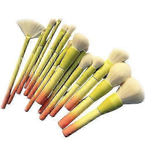 Pro Gradient Color 14pcs Set Cosmetic Brush Kit