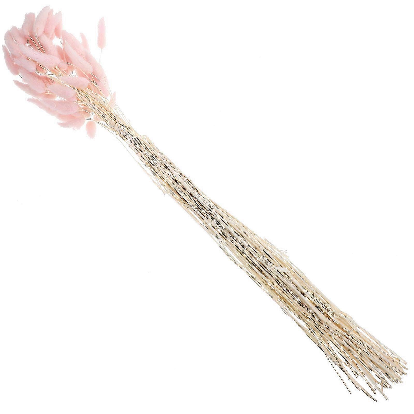 Queue de lapin naturelle en herbe séchée rose, idéale pour la photographie et la décoration intérieure. Dimensions : 60 x 1 x 1 cm. Lot de 60.