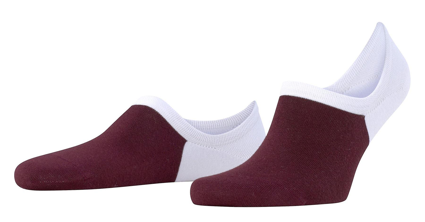 Falke Colour Blend No Show Socks - White