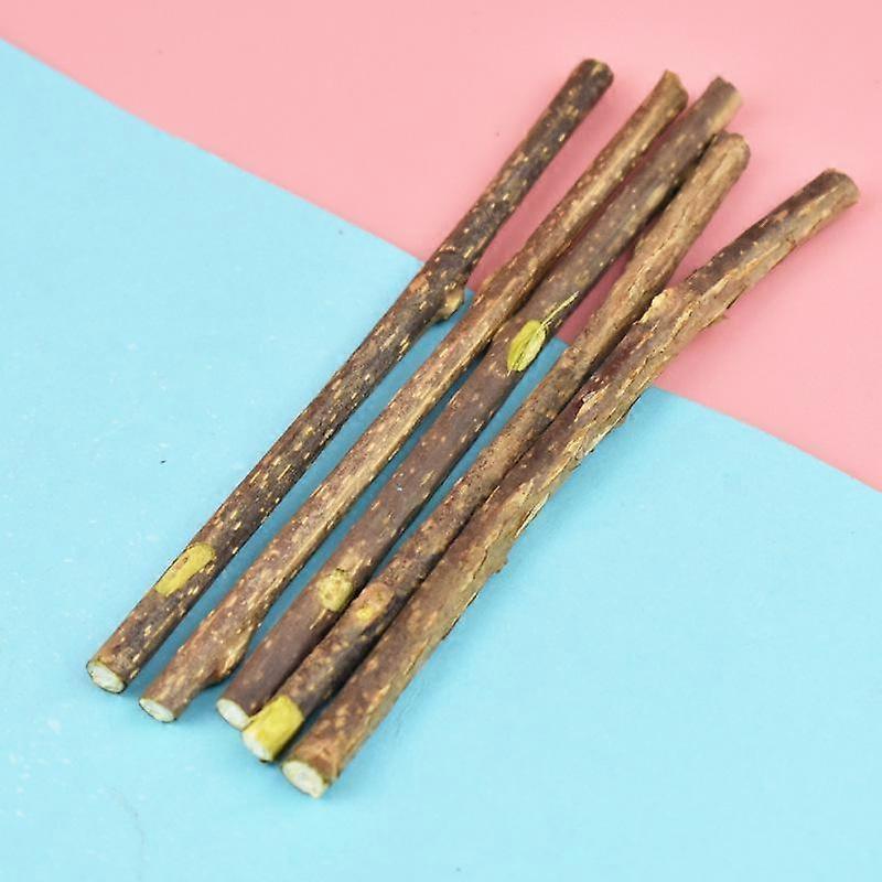 Natural Cat Nip Pet Cat Molar Toothpaste Stick Actinidia Fruit Silvervine Cat Snacks Sticks Pet Cleaning Teeth Pet Supplies Dog Supplies