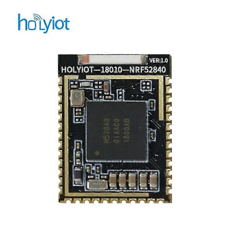Holyiot 2.4Ghz Bluetooth Module NRF52840 Chipset Low Energy for BLE Mesh Module BLE Automation Modules for Ceramic Antenna