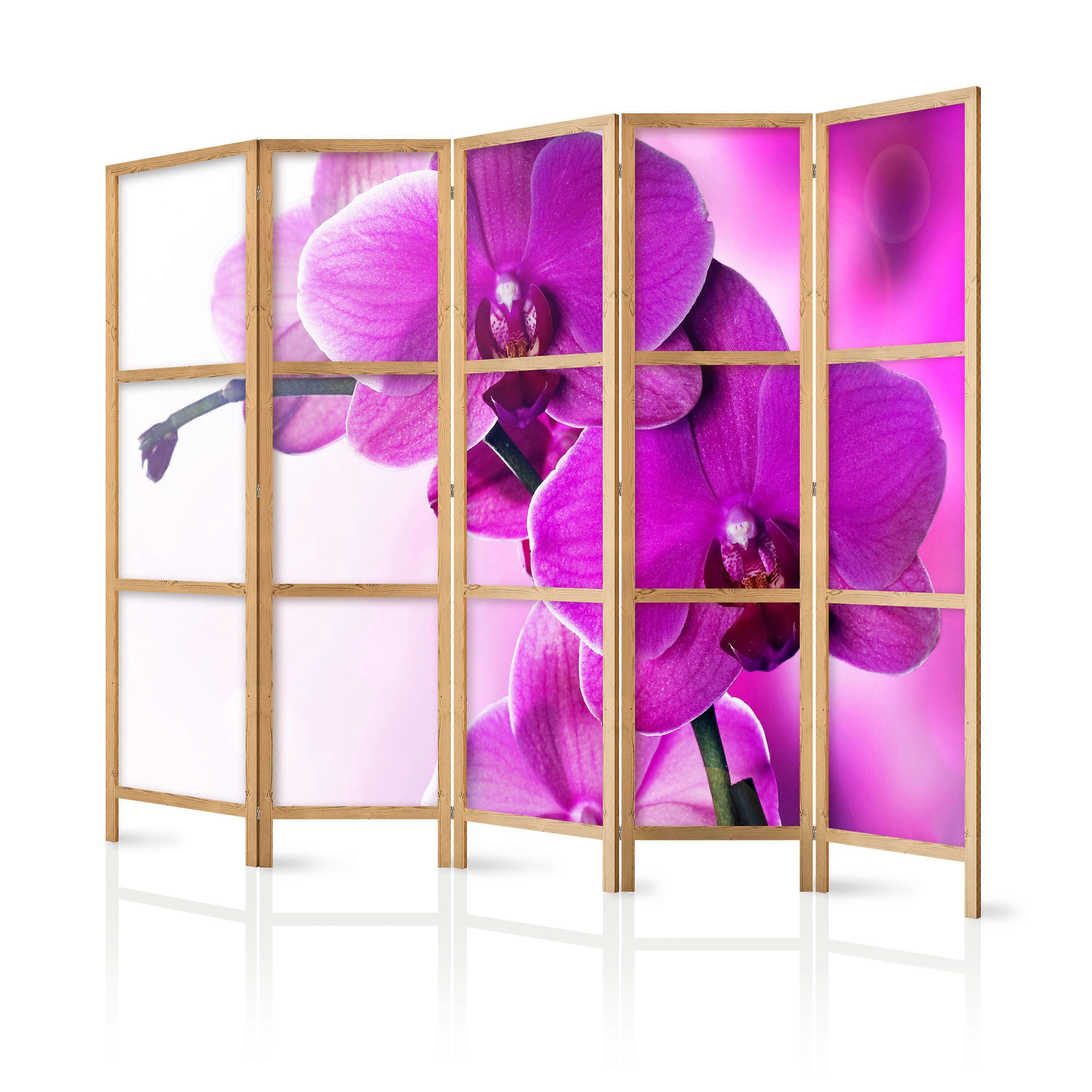 Divisória Japonesa - Orquídeas Violetas II