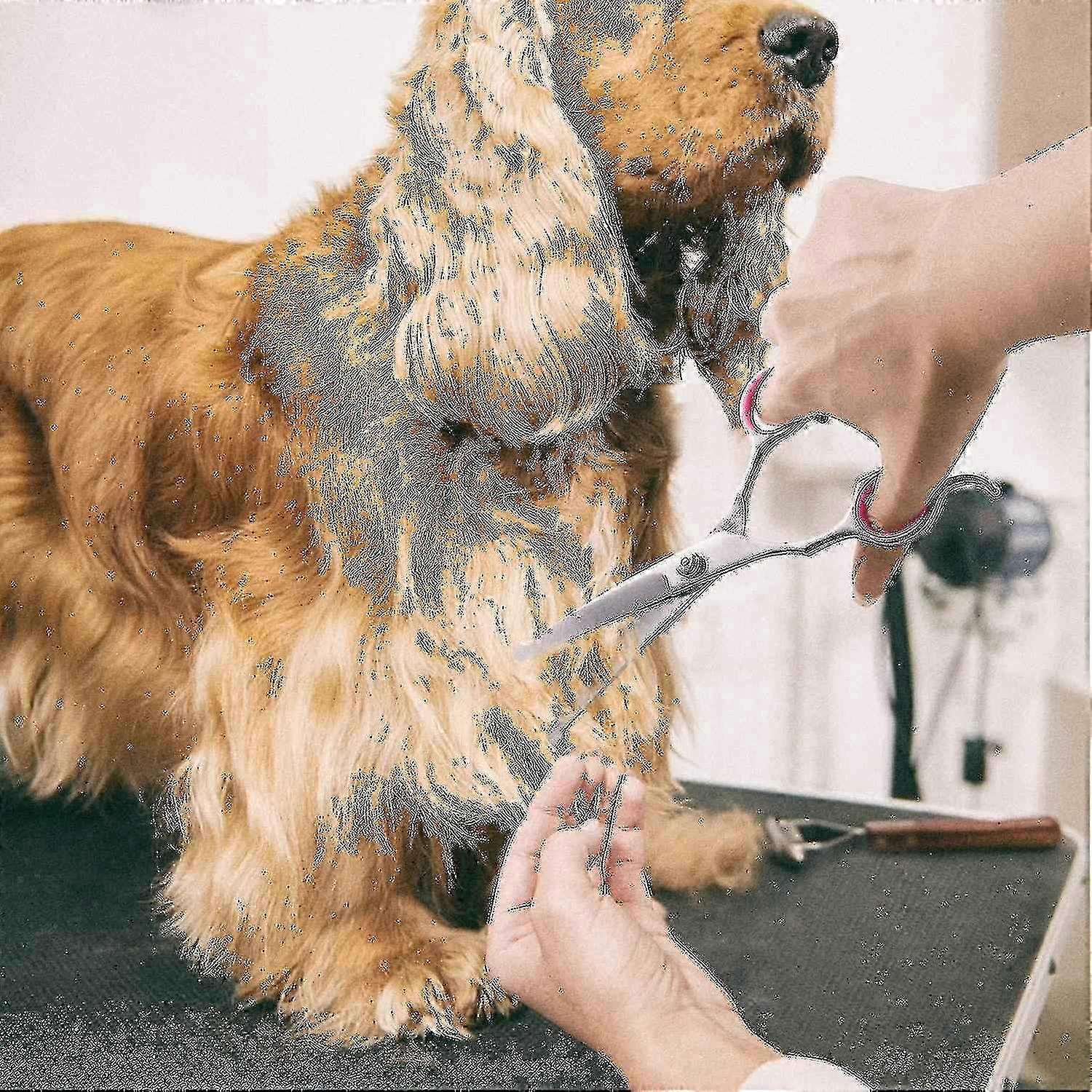 Dog Grooming Scissors Set With Safety Round Tip, Thinning And Straight Pet Grooming Scissors Kit Ban