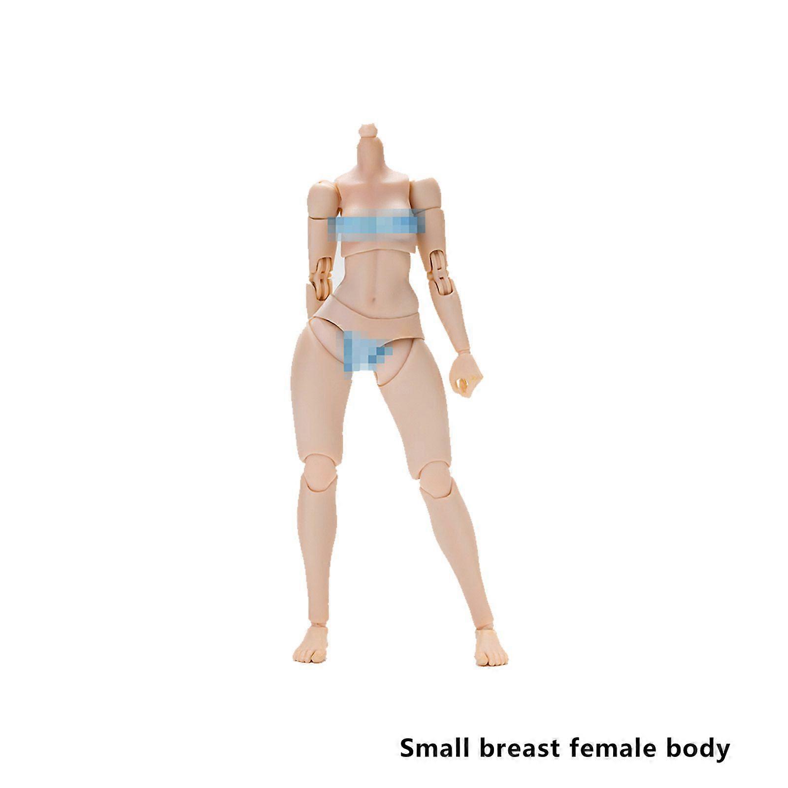 6'' Action Figure Female Body Models Ts-Fb-001 & Ts-Fb-002 By Jet Studio For Fag Figma Ip